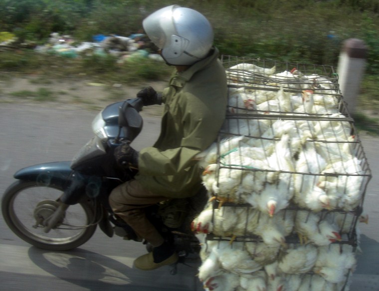 VIETNAM