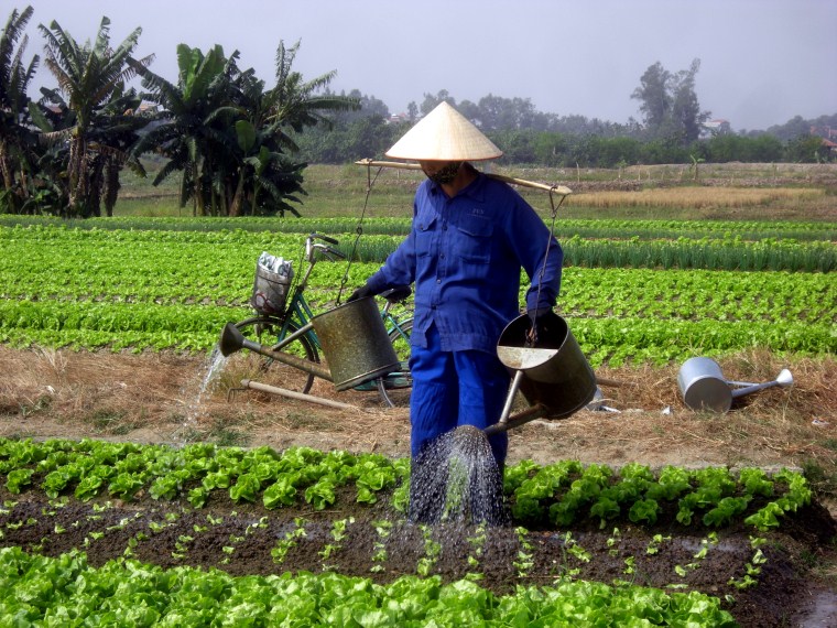 vietnam