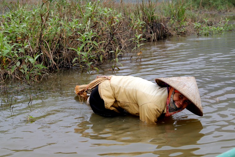 vietnam